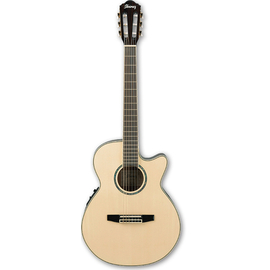 Електроакустична гітара IBANEZ AEG10NE NT, image 
